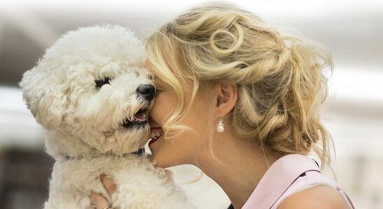 собака с хозяйкой